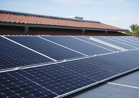 918������(�й���)�콢��