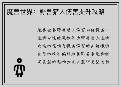 魔兽世界：野兽猎人伤害提升攻略