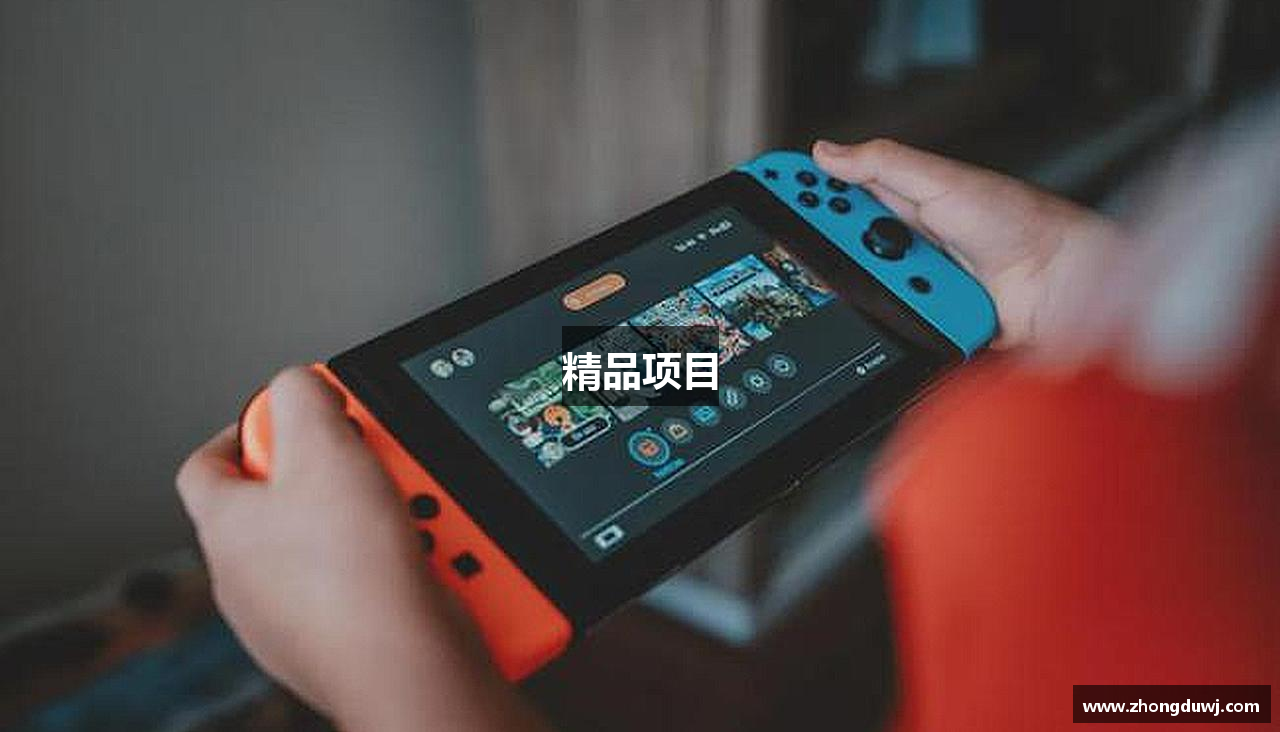 精品项目